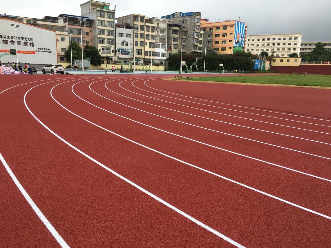 钦州市学校塑胶跑道塑胶跑道材料 - 厂家
